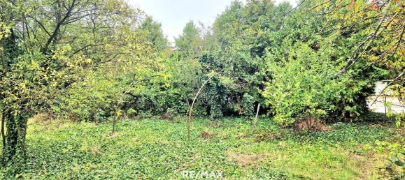  Land in Gols, Austria No. 224251 3