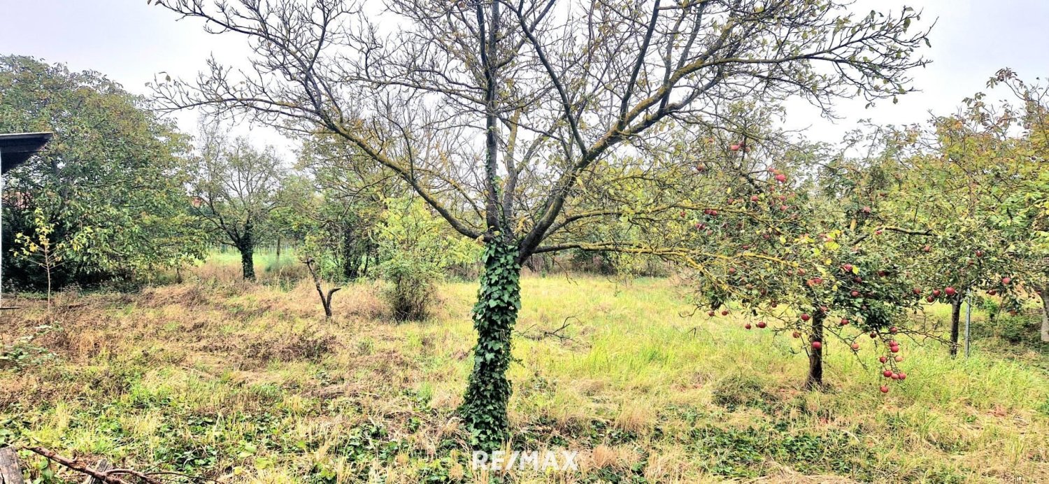  Land in Gols, Austria No. 224251