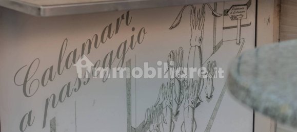 5 rooms Commercial property in Caorle, Italy No. 228580 11