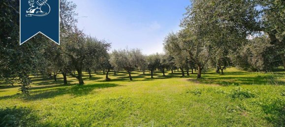 Вилла с 6 спальнями в Верона, Италия № 315504 15