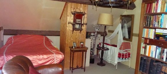 4 غرف نوم منزل في Beaulieu-sur-Loire, France رقم 157795 12