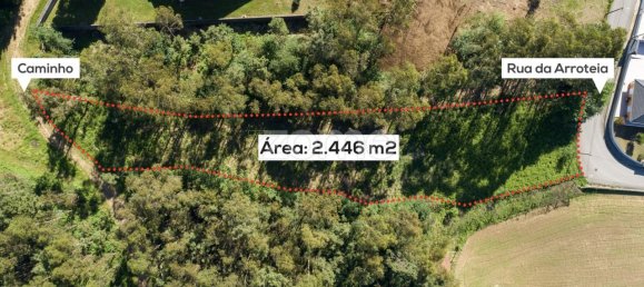Земельный участок 2446м² в Санта Мария да Фейра, Португалия № 83920 2