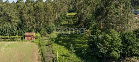 Земельный участок 2446м² в Санта Мария да Фейра, Португалия № 83920 8