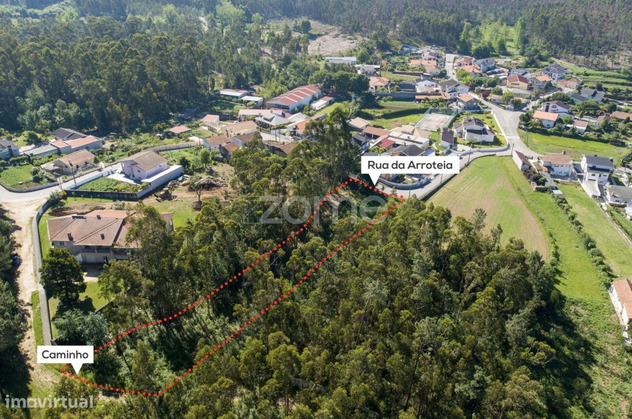 Земельный участок 2446м² в Санта Мария да Фейра, Португалия № 83920