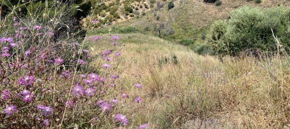 Terrain à Frigiliana, Spain No. 155801 12