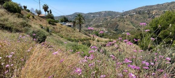 Terrain à Frigiliana, Spain No. 155801 9