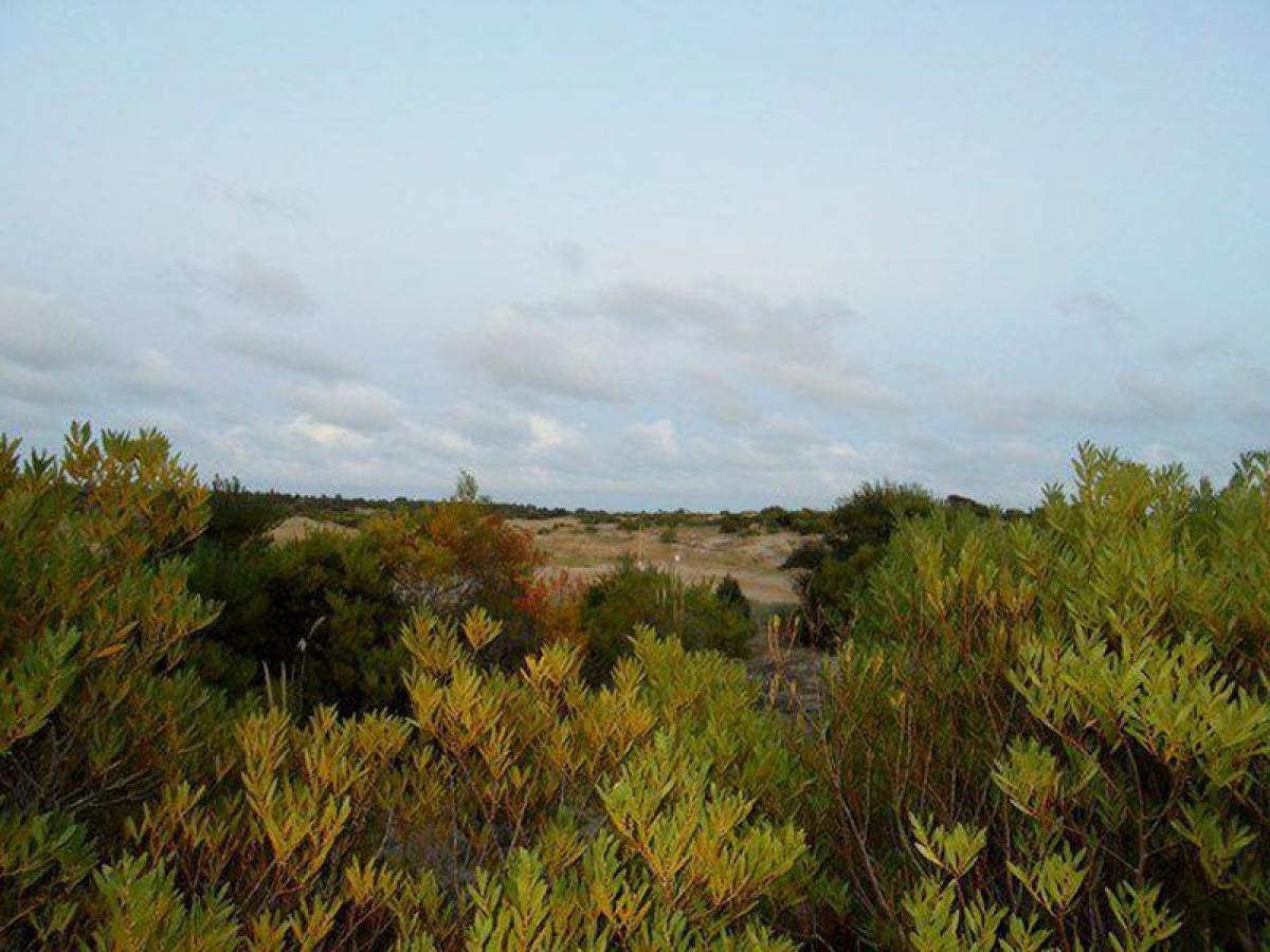  Land in Mar del Plata, Argentina No. 120749