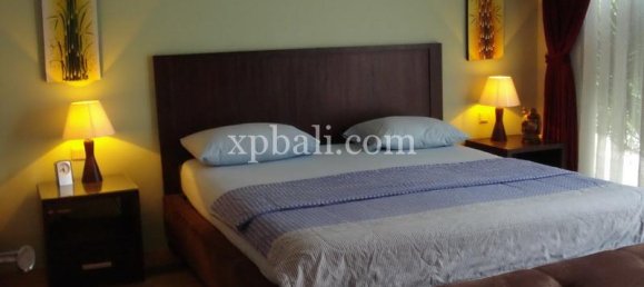 4 غرف نوم فيلا في Lovina, Indonesia رقم 4195 12