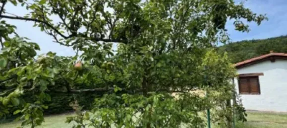 4 Schlafzimmer Haus in Alava, Spain, Nr. 169340 37