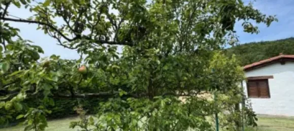 4 Schlafzimmer Haus in Alava, Spain, Nr. 169340 34