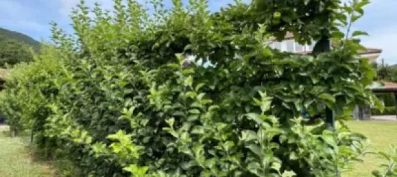 4 Schlafzimmer Haus in Alava, Spain, Nr. 169340 42