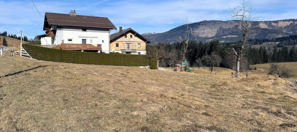  Land in Abtenau, Austria No. 72608 3