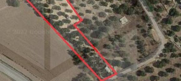 1 room Land in Montescaglioso, Italy No. 23529 2