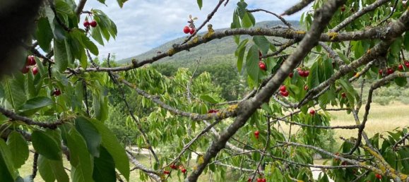 3 rooms House in Ferentillo, Italy No. 36896 17