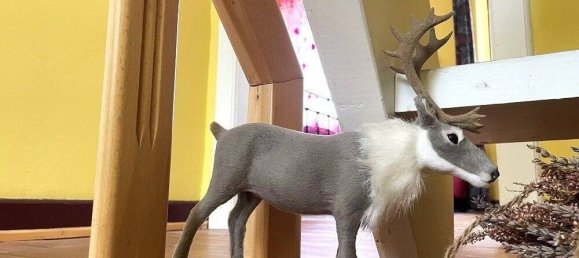 3 bedrooms House in Bernkastel-Wittlich, Germany No. 205414 11