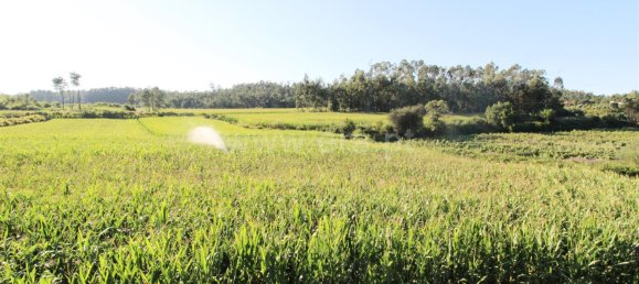 4 bedrooms House in Barcelos, Portugal No. 190492 18