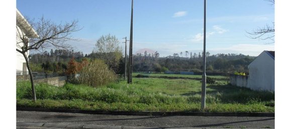 495m² Land in Ventosa do Bairro, Portugal No. 70460 4