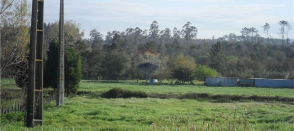 495m² Land in Ventosa do Bairro, Portugal No. 70460 5