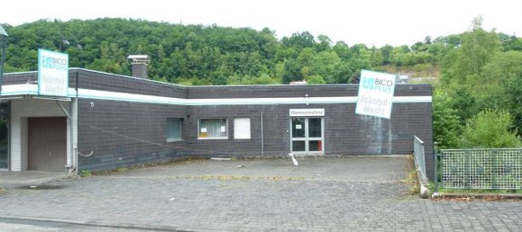 Коммерческая недвижимость 2500м² в Altenkirchen, Германия № 130487 12