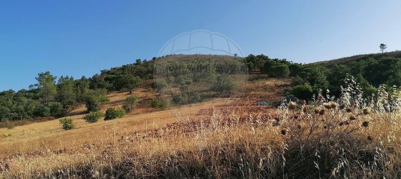 Grundstück in Salir, Portugal 9090m², Nr. 49509 2