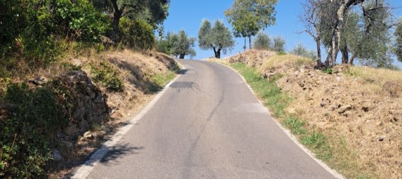 7 rooms Villa in Impruneta, Italy No. 173811 10