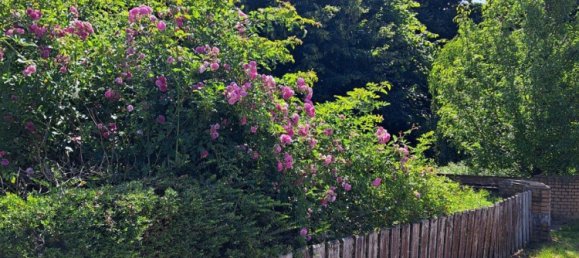 3-salle Appartement à Rotenburg, Germany No. 320718 5