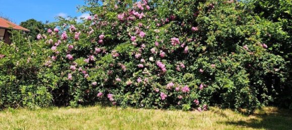 3-salle Appartement à Rotenburg, Germany No. 320718 4