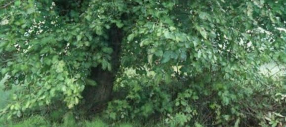 Terreno en Cassola, Italy 5207 m² No. 305309 8