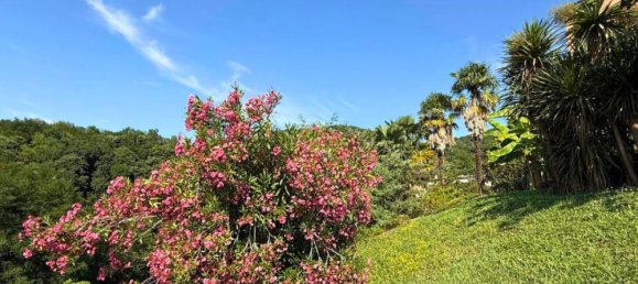 15 rooms Villa in Cornuda, Italy No. 283406 33