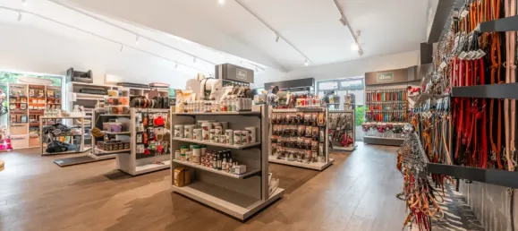 11غرفة عقار تجاري في Segeberg, Germany رقم 310598 3