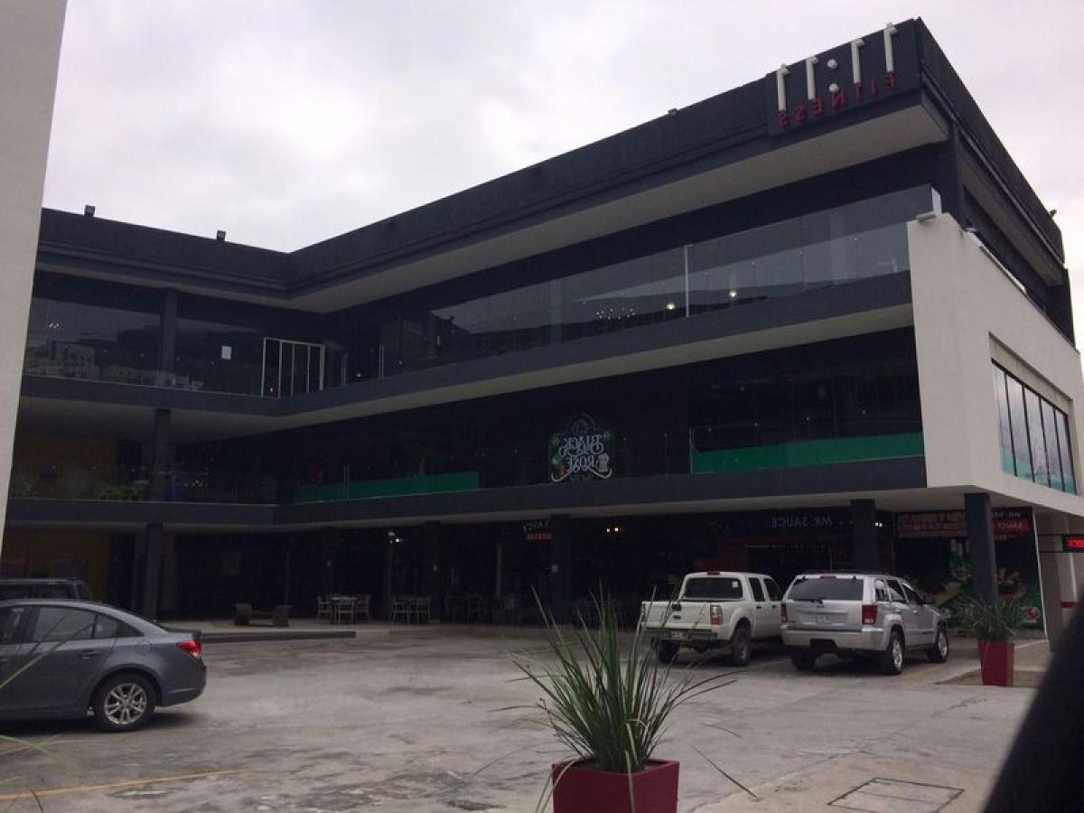 1570m² Building in Nuevo Leon, Mexico No. 202455