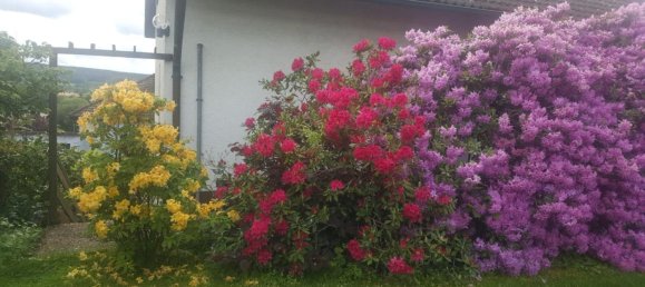 6 rooms House in Amberg-Sulzbach, Germany No. 322017 9