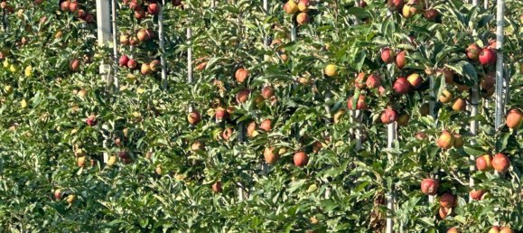 9-salle Villa à Weiz, Austria No. 179665 16