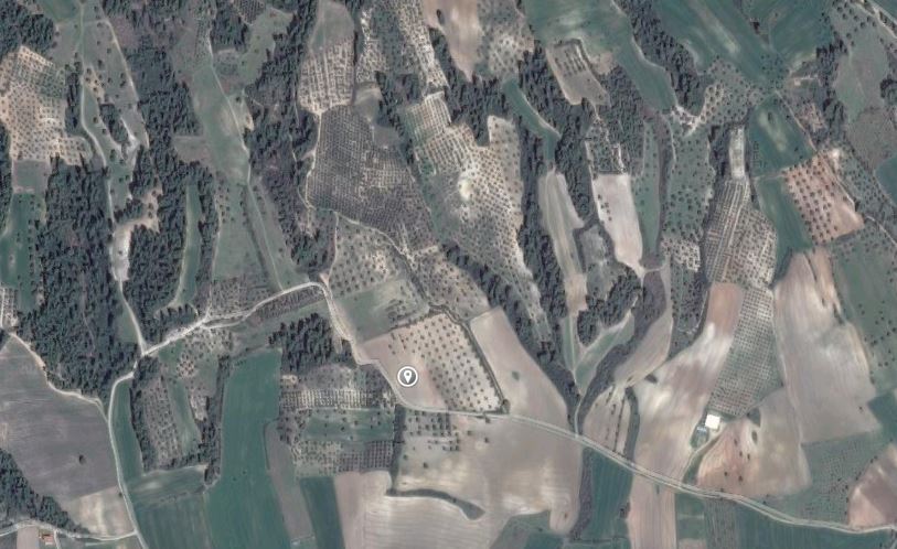 14528m² Hotel in Chalkidiki, Greece No. 6747