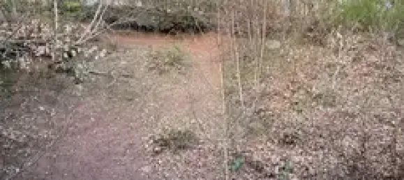 6غرفة تاون هاوس في Sankt Wendel, Germany رقم 32431 15