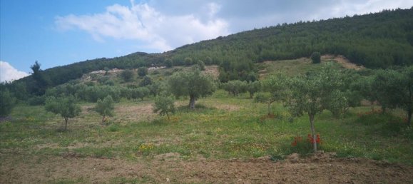 Отель, гостиница 18500м² в Халкидики, Центральная Македония, Македония и Фракия, Греция № 4928 4