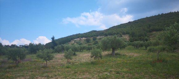 18500m² Hotel in Chalkidiki, Greece No. 4928 2