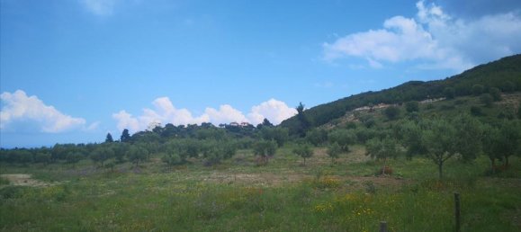 18500m² Hotel in Chalkidiki, Greece No. 4928 3