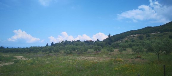 18500m² Hotel in Chalkidiki, Greece No. 4928 5