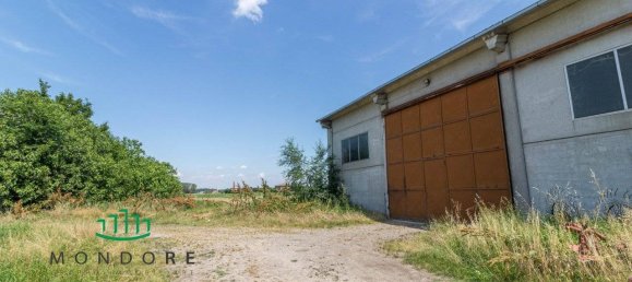 Villa de 6 dormitorios en Calderara di Reno, Italy No. 355849 40