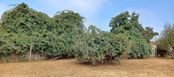 Дом с 4 спальнями в Канелаш, Португалия № 28153 23