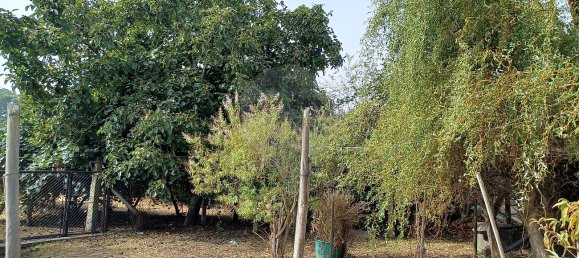 Дом с 4 спальнями в Канелаш, Португалия № 28153 6