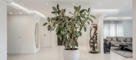 5 bedrooms House in Marbella, Spain No. 96991 45