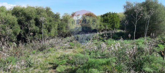 Земельный участок 8556м² в Мистербьянко, Италия № 119486 9