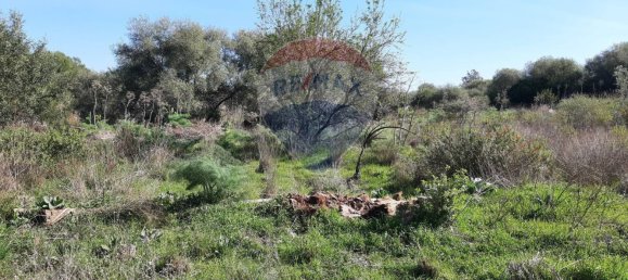 Земельный участок 8556м² в Мистербьянко, Италия № 119486 28