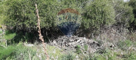 Земельный участок 8556м² в Мистербьянко, Италия № 119486 10