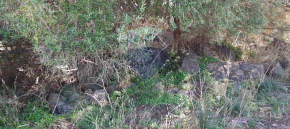 Земельный участок 8556м² в Мистербьянко, Италия № 119486 50