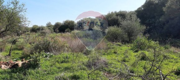 Земельный участок 8556м² в Мистербьянко, Италия № 119486 27