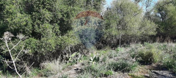 Земельный участок 8556м² в Мистербьянко, Италия № 119486 13