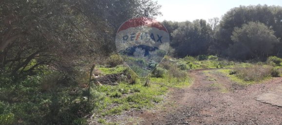 Земельный участок 8556м² в Мистербьянко, Италия № 119486 40